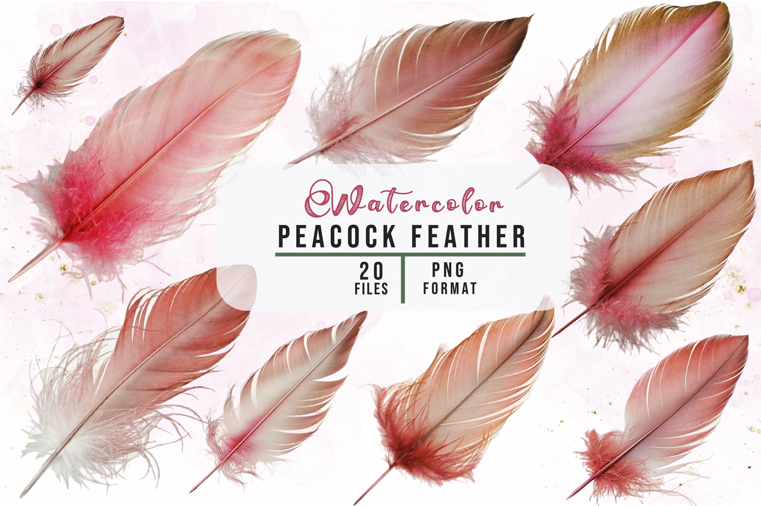 Peacock Feather Clipart Bundle