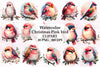 Pink Bird Christmas Animal Clipart Bundle