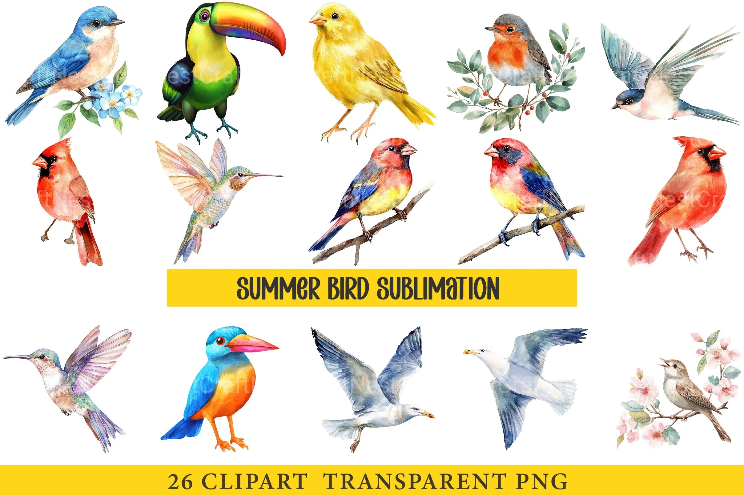Summer Bird Clipart Bundle