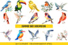 Summer Bird Clipart Bundle
