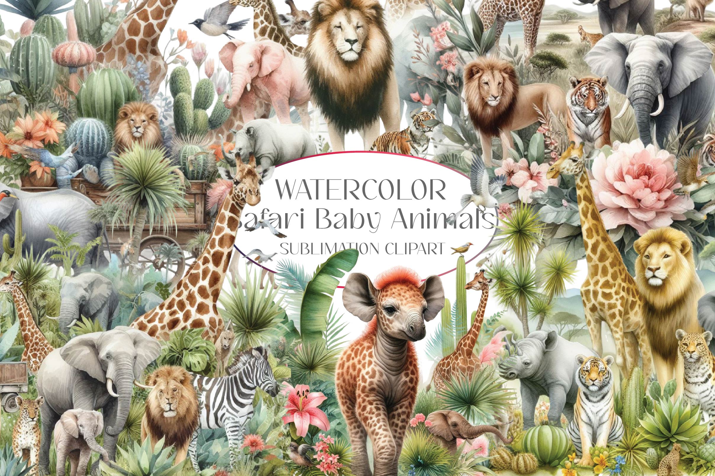 Safari Baby Animals Clipart Bundle