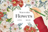 Flowers Clipart Bundle 28