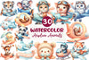 Airplane Cute Animals Clipart Bundle