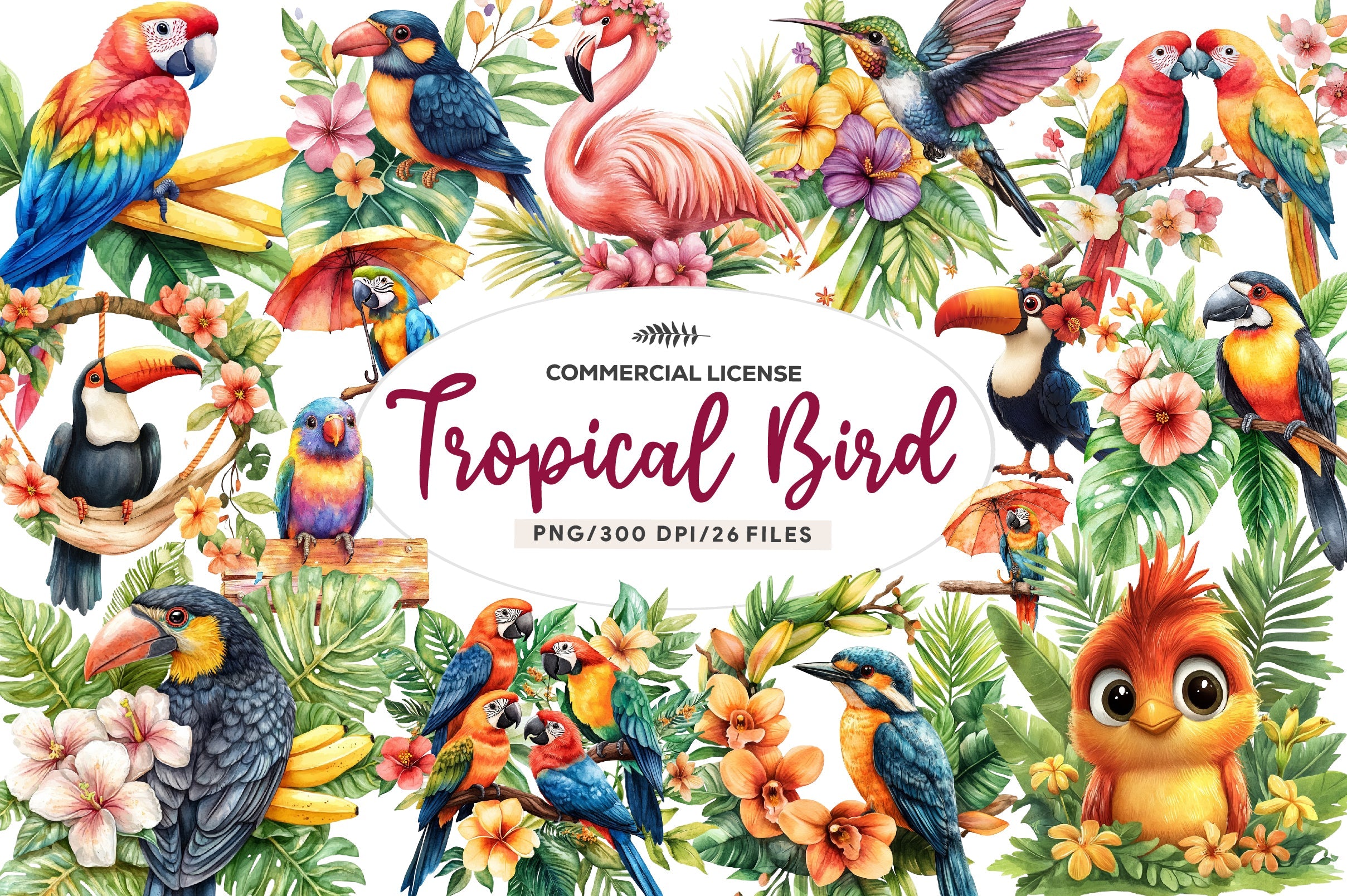 Tropical Bird Jungle Bird Clipart Bundle 1
