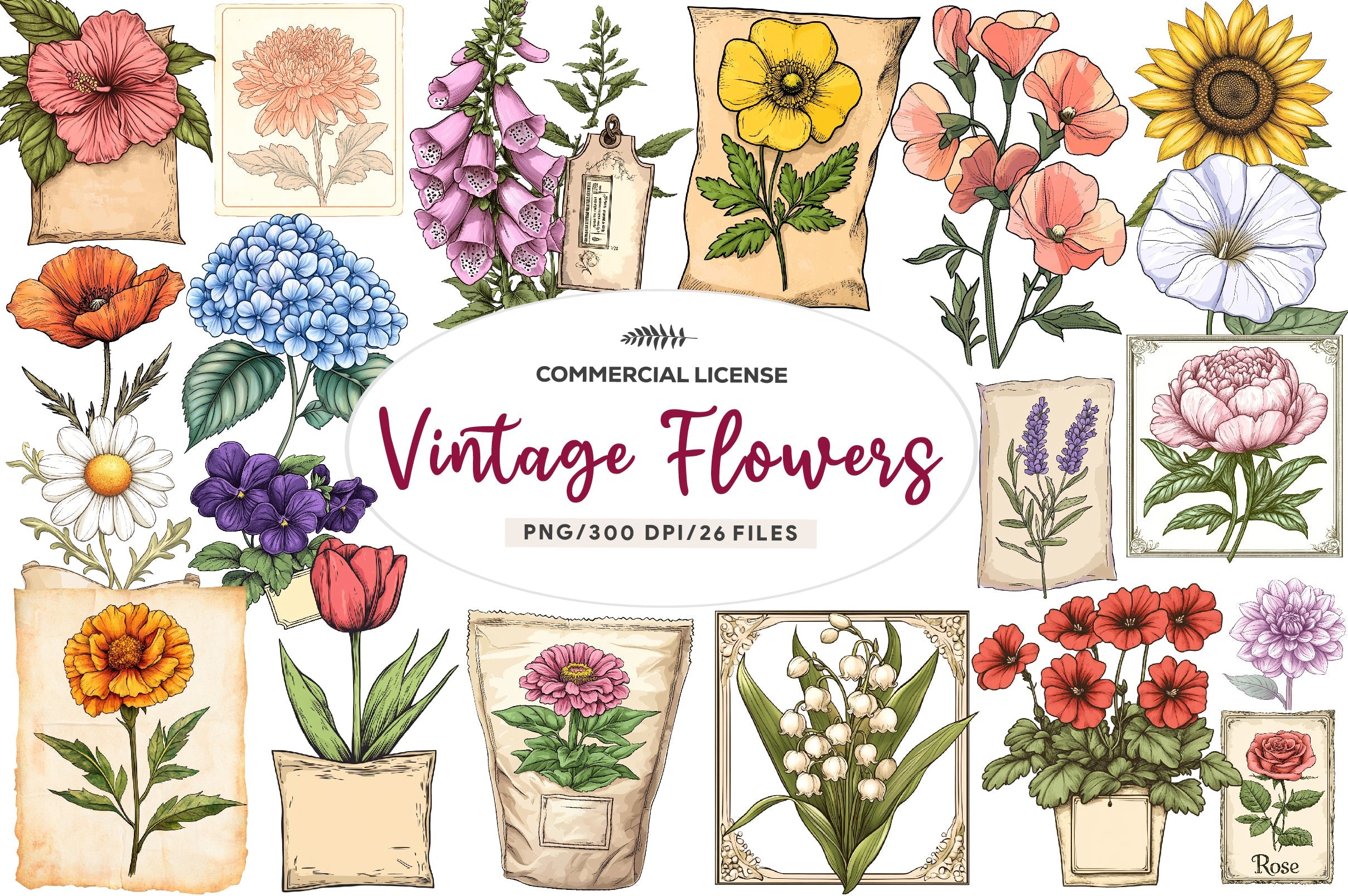 Vintage Flowers Seed Packet Clipart Bundle