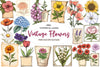 Vintage Flowers Seed Packet Clipart Bundle