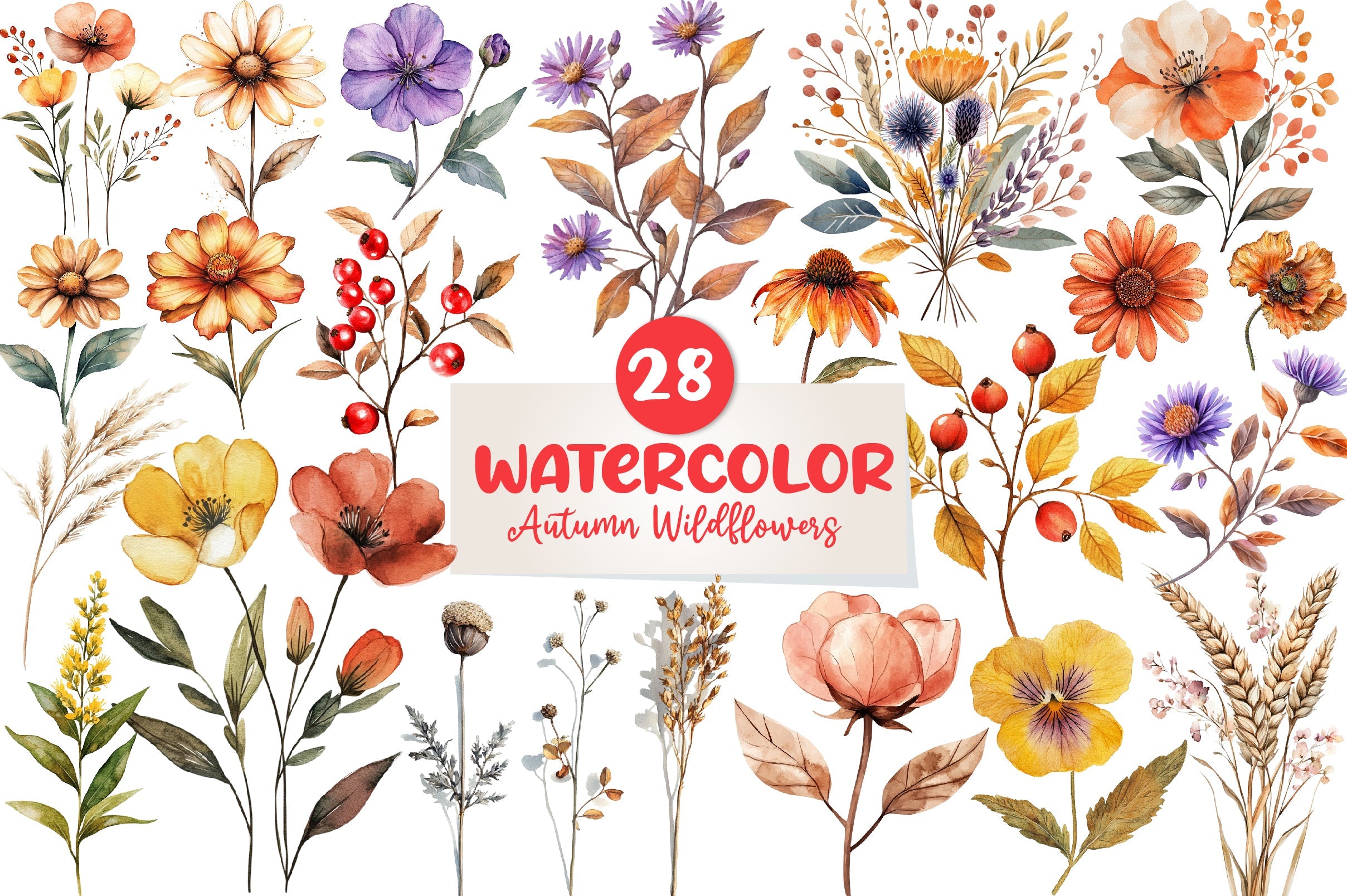 Autumn Wildflowers Clipart Bundle