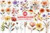 Autumn Wildflowers Clipart Bundle