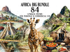 Africa