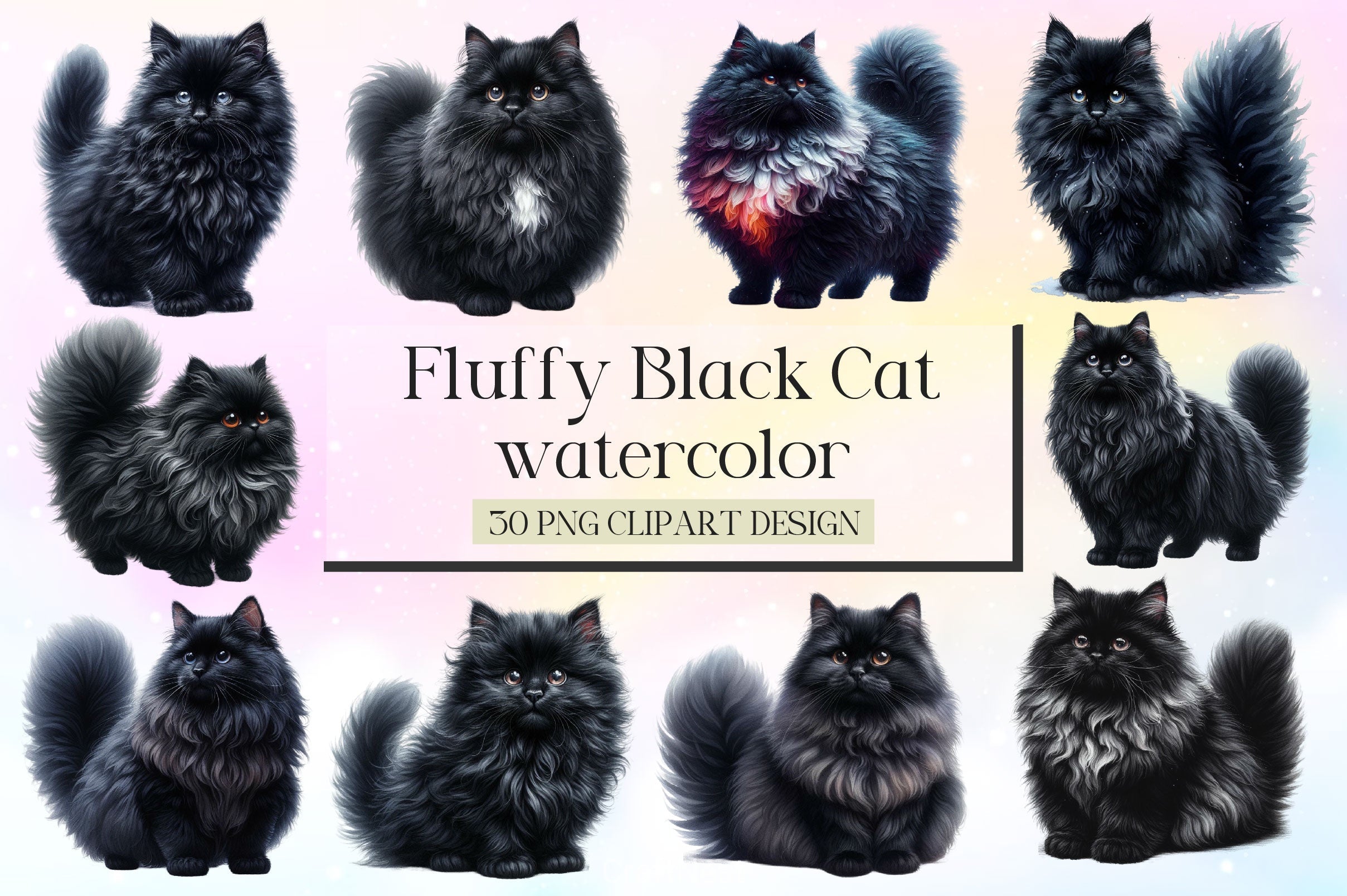 Fluffy Black Cat Clipart Bundle