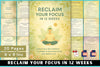 Reclaim Your Focus in 12 Weeks
