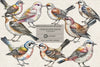 Newspaper Birds Clipart