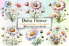 Daisy Flower Clipart Bundle