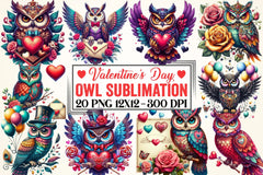 Valentine Owl Clipart Bundle 2 - CraftNest - Digital Crafting and Art