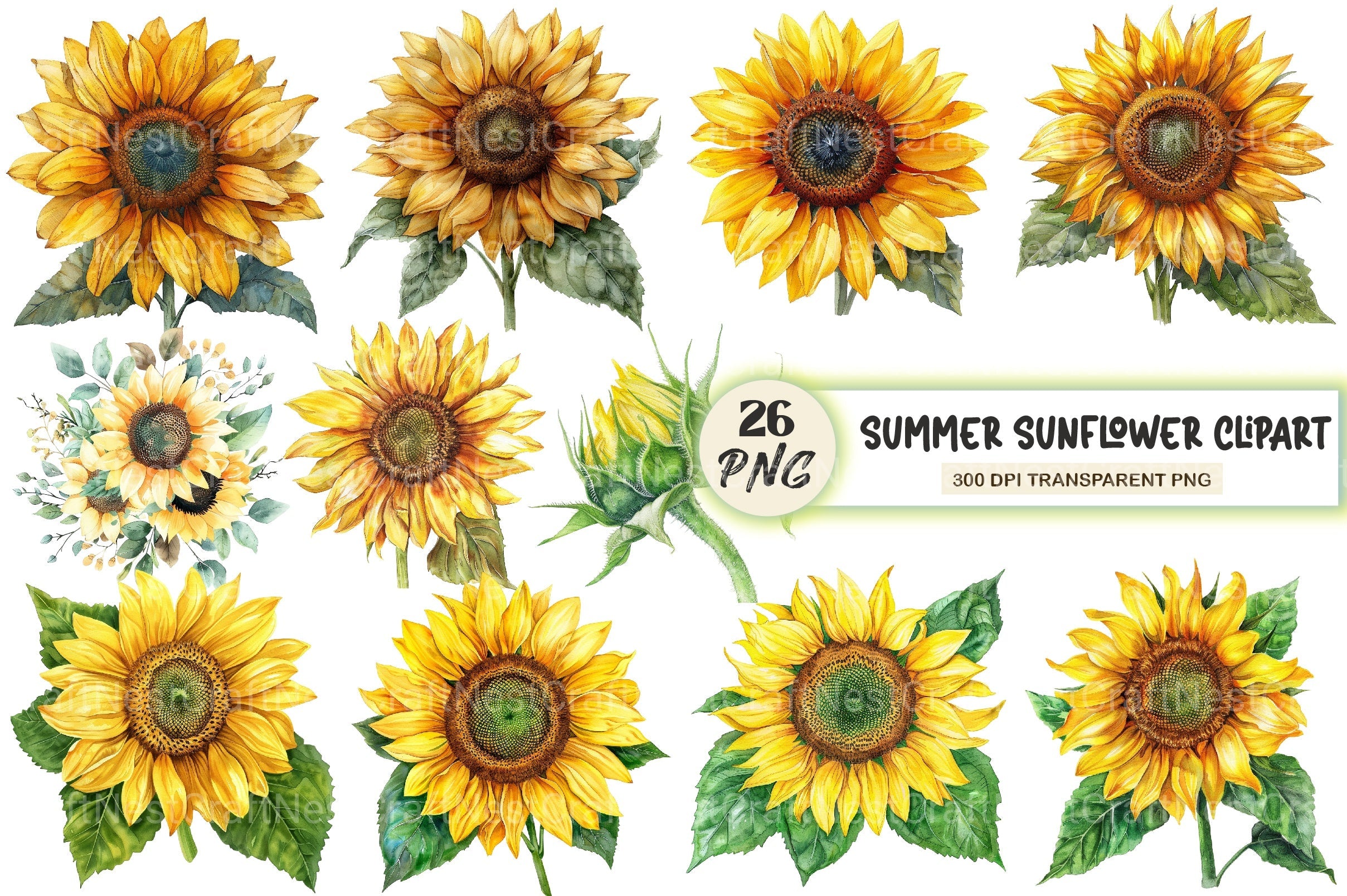 Summer Sunflower Clipart Bundle 1