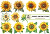 Summer Sunflower Clipart Bundle 1