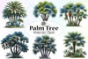 Palm Tree Clipart Bundle