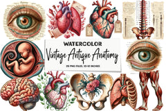 Vintage Antique Anatomy Clipart Bundle - CraftNest - Digital Crafting and Art
