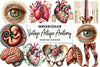 Vintage Antique Anatomy Clipart Bundle