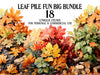 Leaf Pile Fun