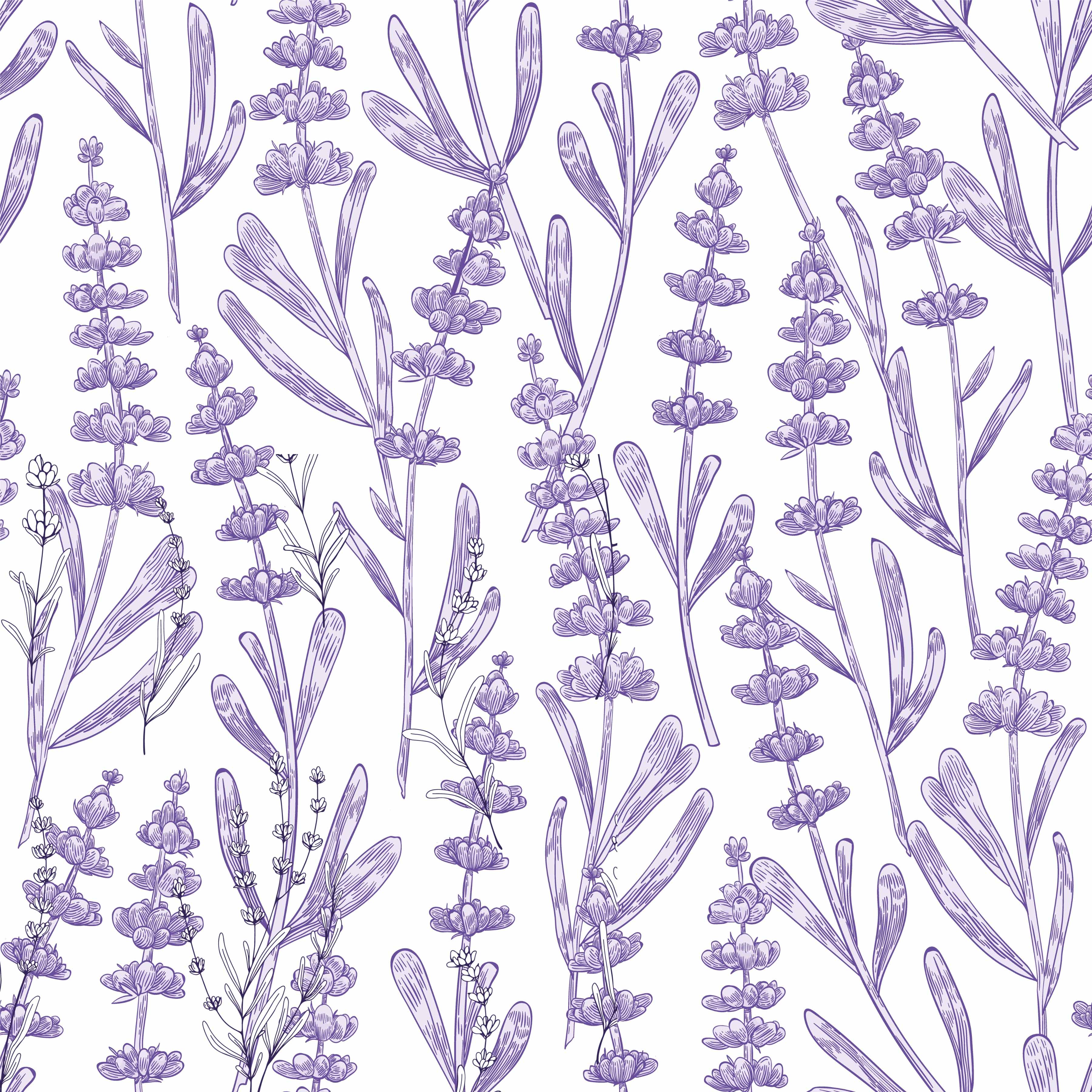 Lavender Seamless Digital Paper