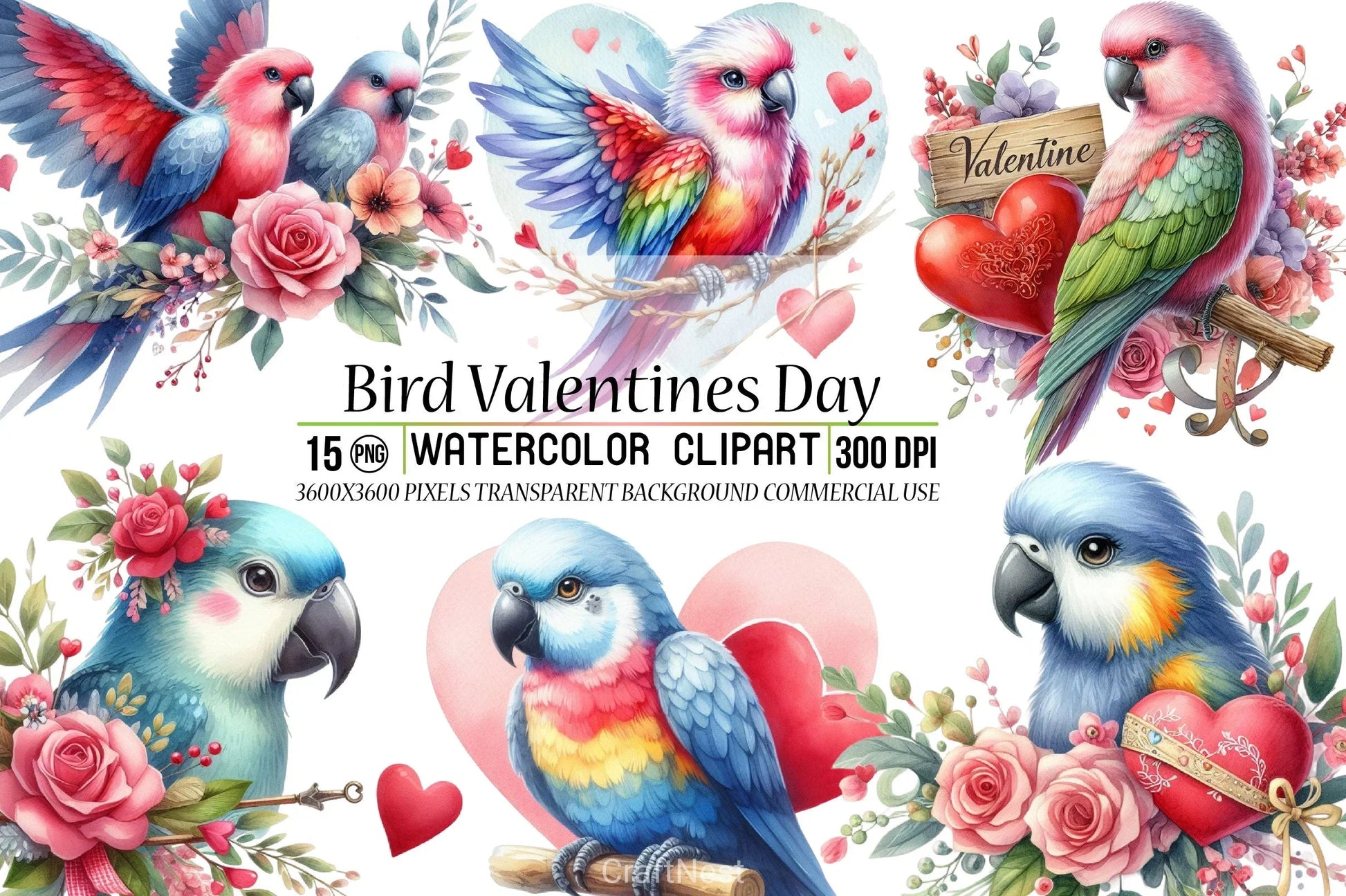 Bird Valentine Clipart Bundle - CraftNest - Digital Crafting and Art