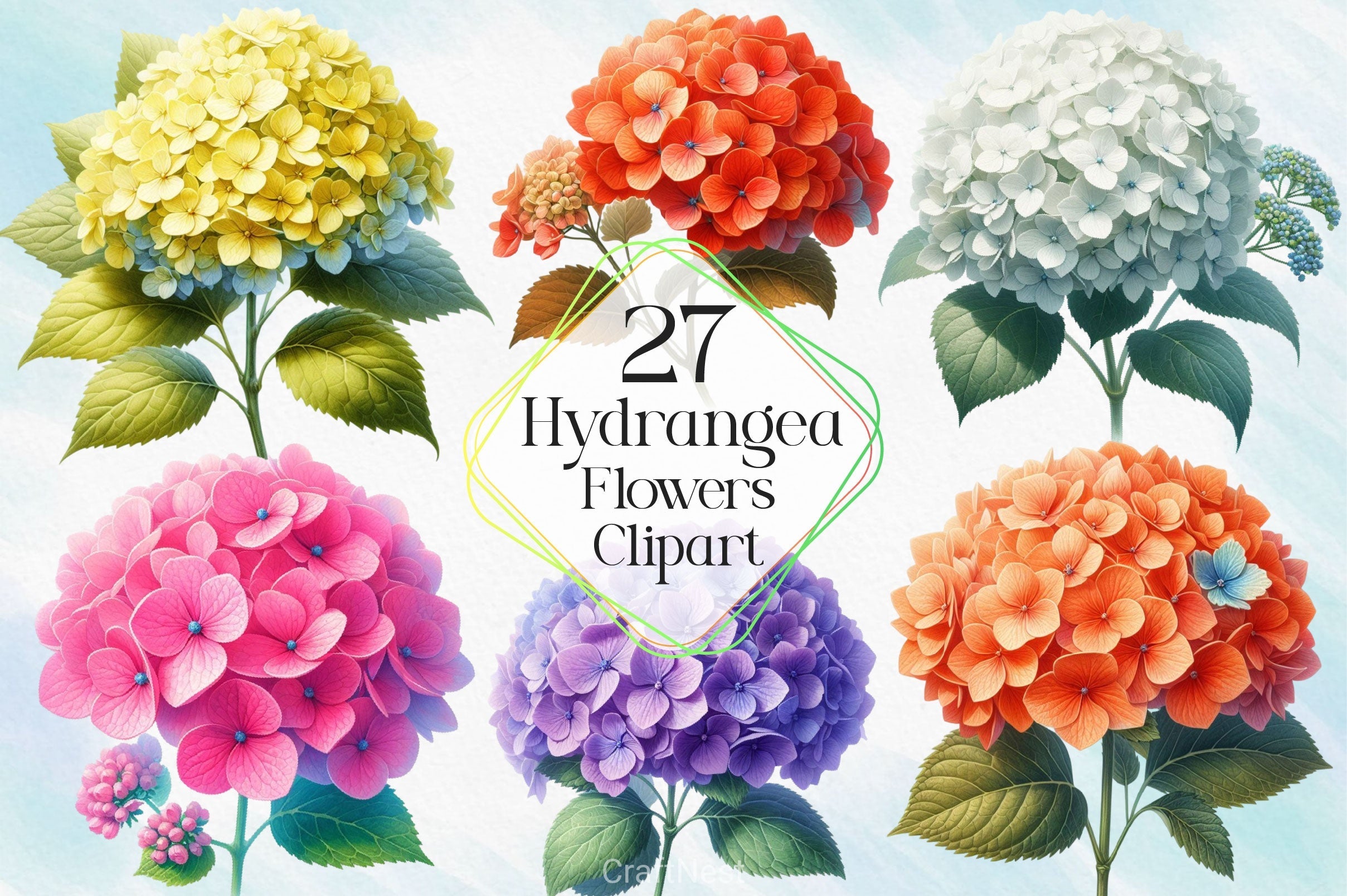 Hydrangea Flowers Clipart Bundle 6