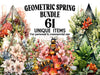 Geometric Spring
