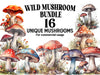 Wild Mushrooms