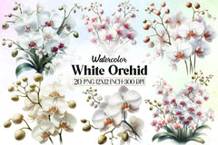 White Orchid Clipart Bundle - CraftNest - Digital Crafting and Art