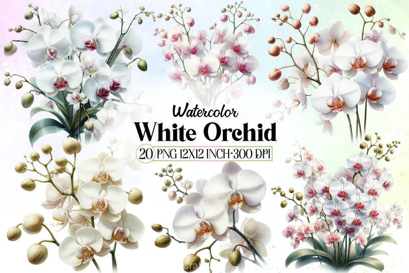 White Orchid Clipart Bundle - CraftNest - Digital Crafting and Art