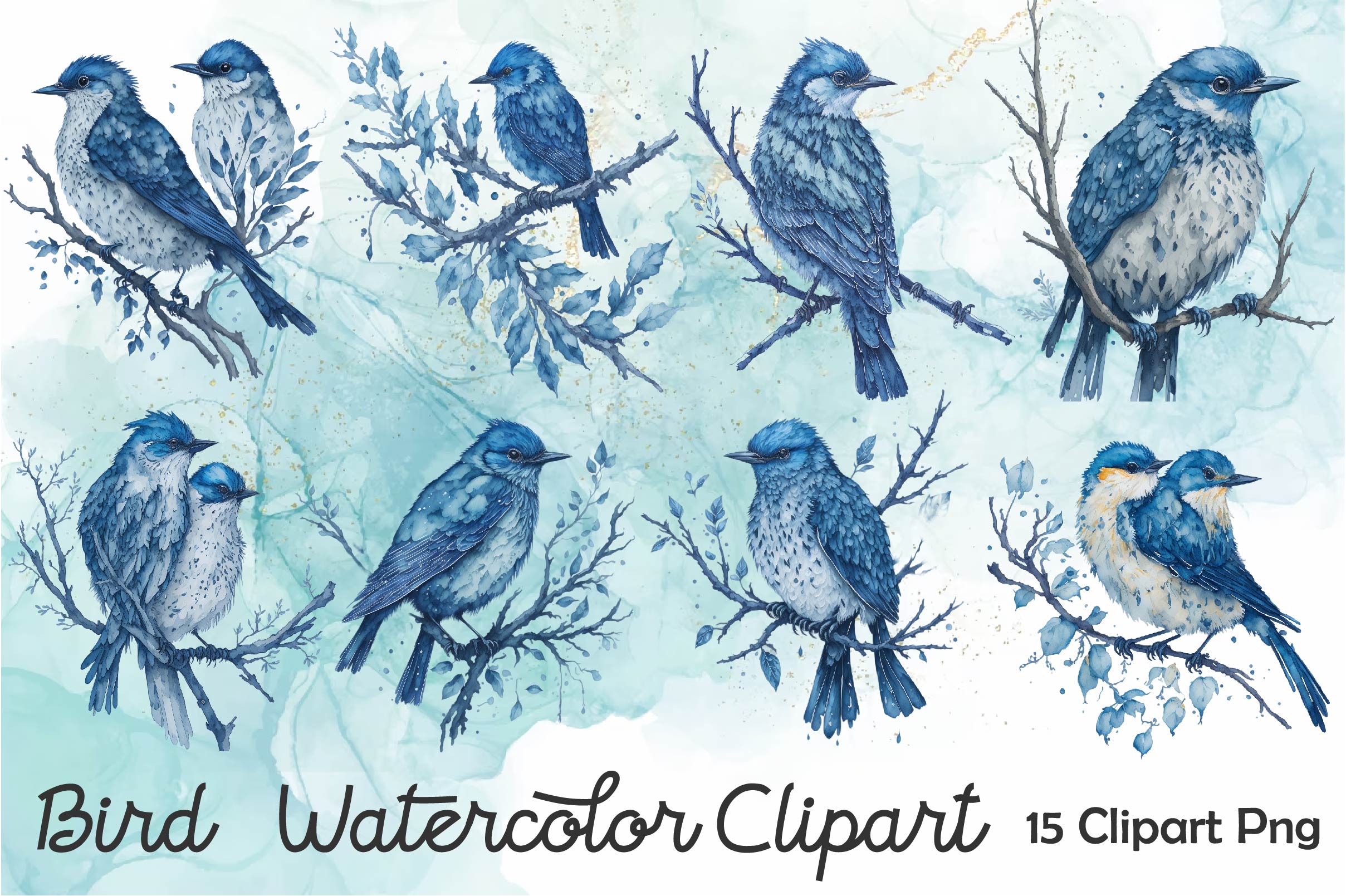 Bird Clipart Bundle 1