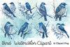 Bird Clipart Bundle 1