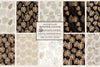 Monstera Leaves Gold Seamless Papers