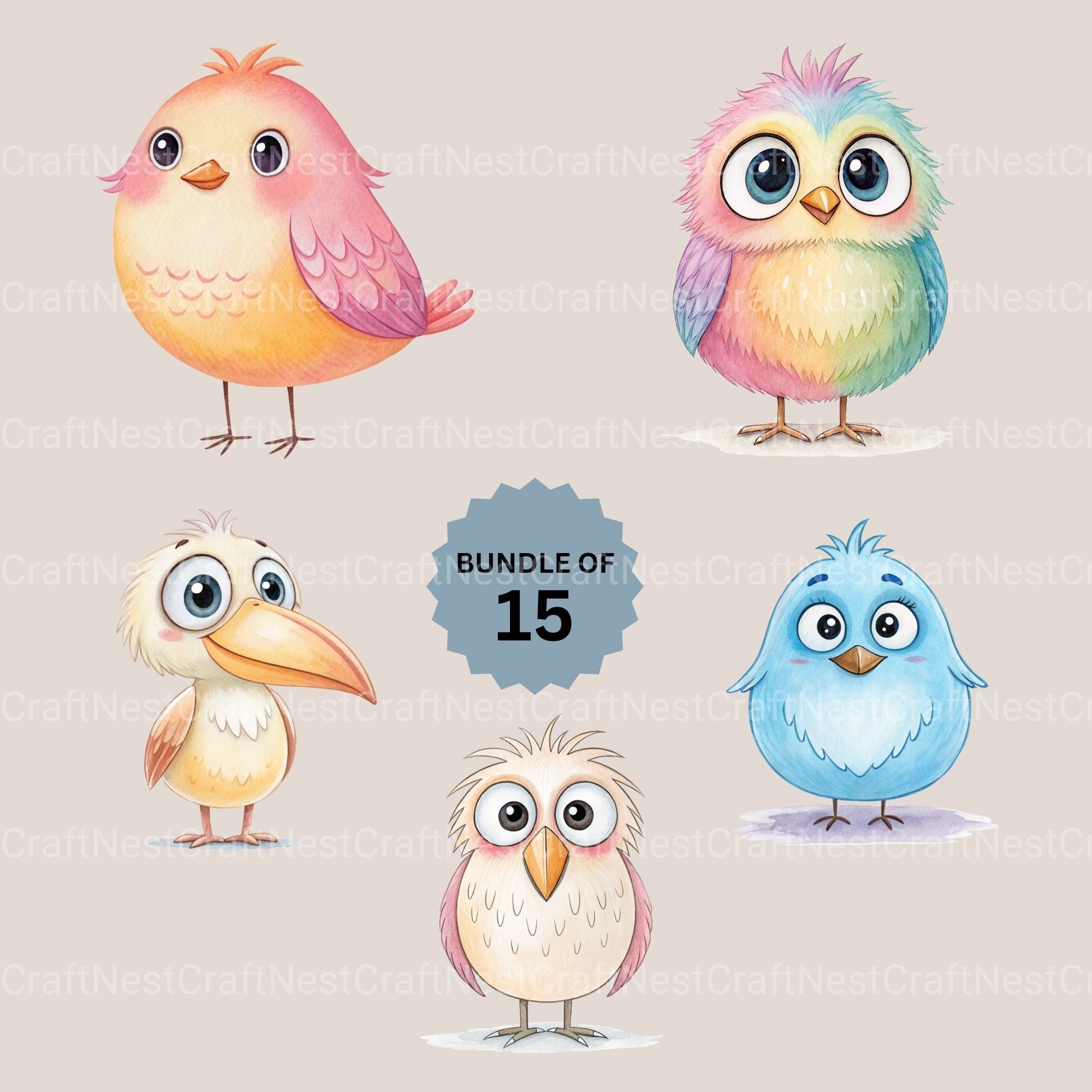 Quirky Birds Clipart Bundle
