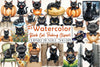 Black Cat Peeking Clipart Bundle