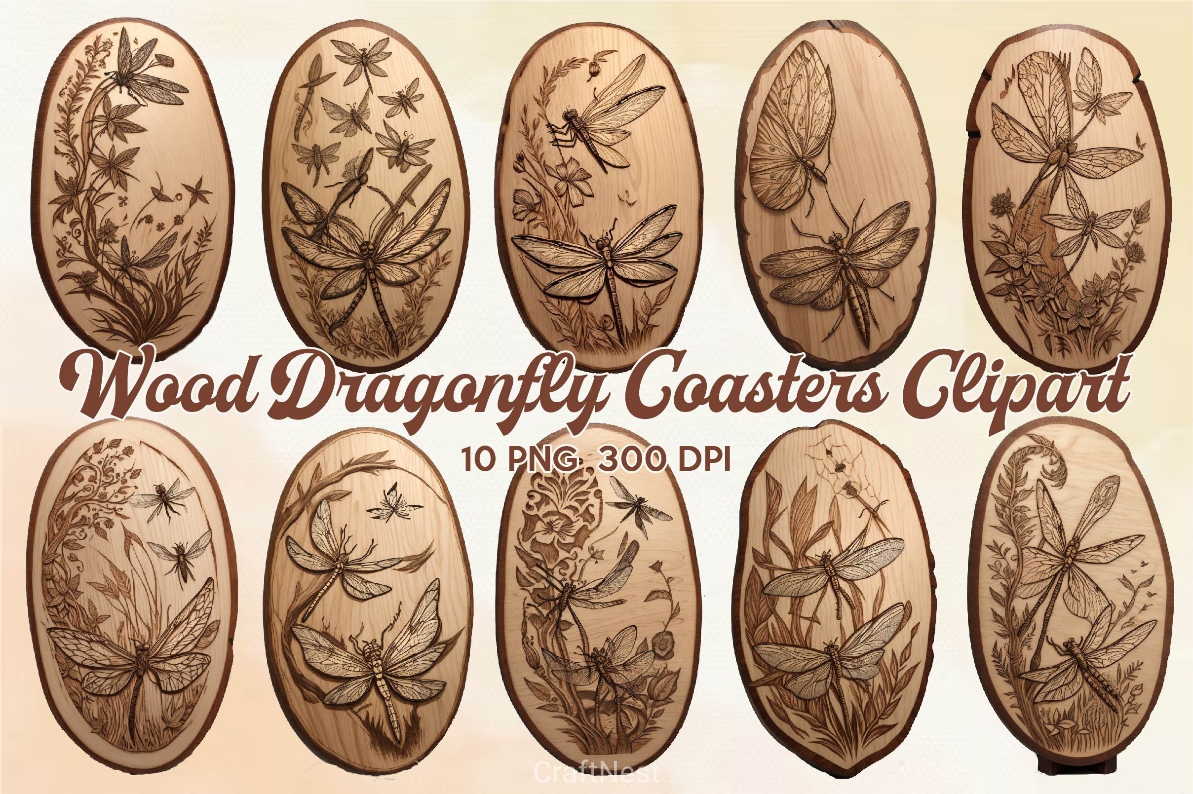 Wood Dragonfly Coasters Clipart Bundle