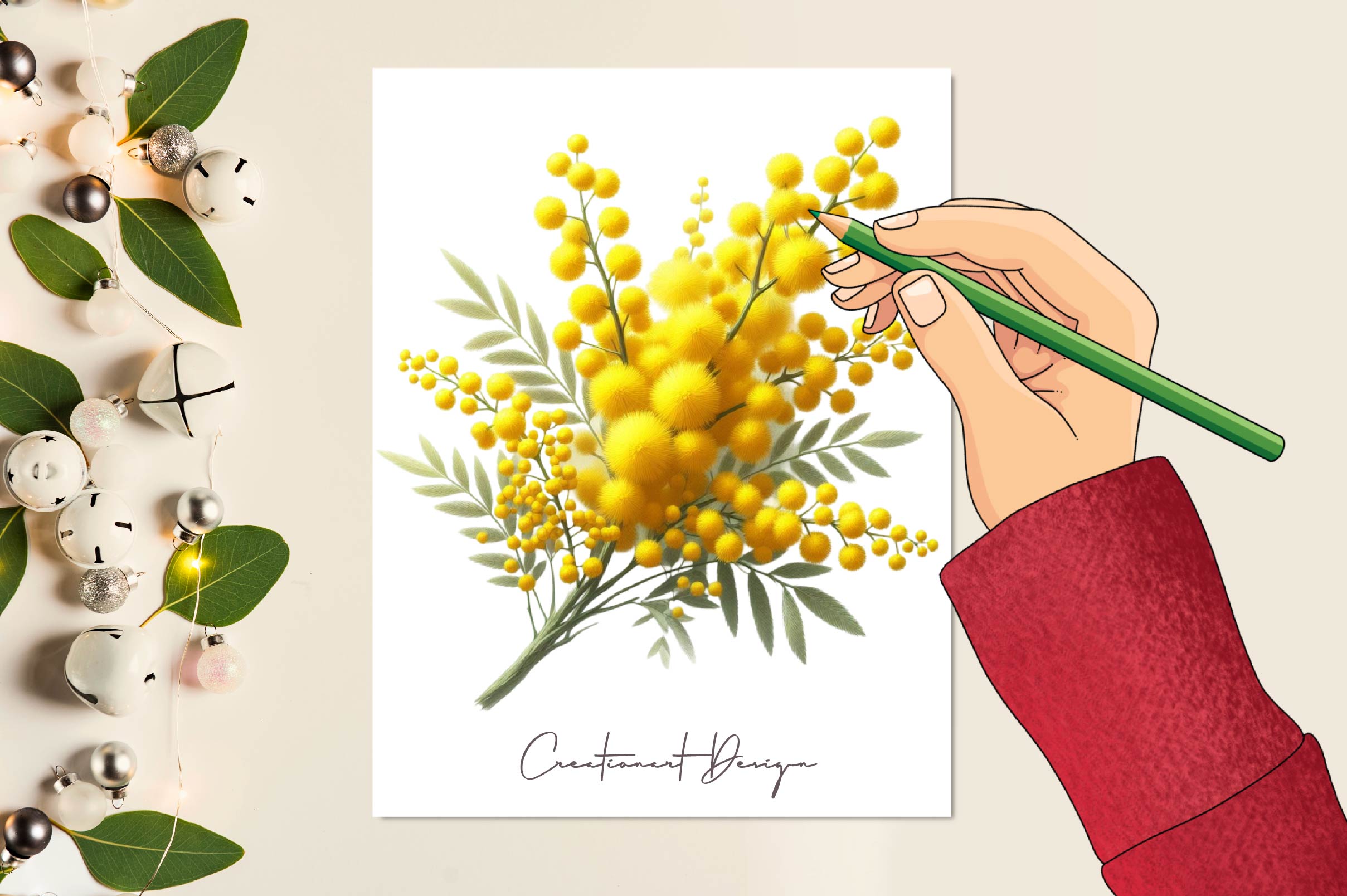 Mimosa Flower Clipart Bundle
