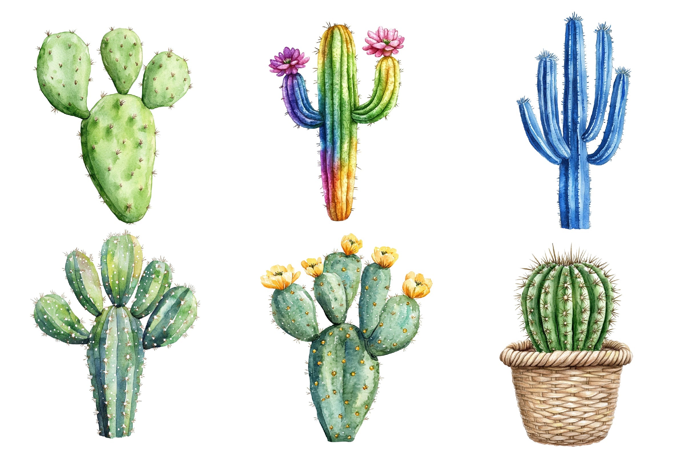 Summer Cactus Clipart Bundle
