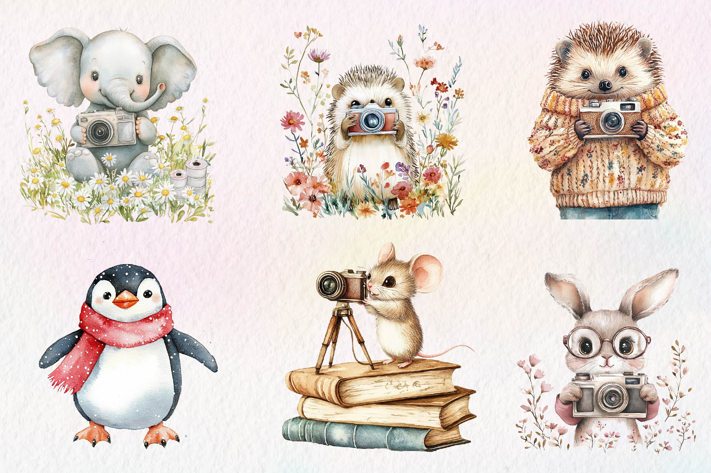 Cute Animals Photographer Clipart Bundle