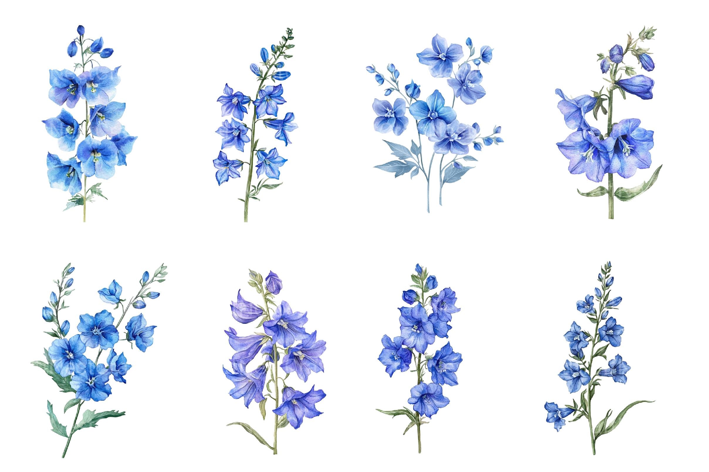 Larkspur Clipart Bundle