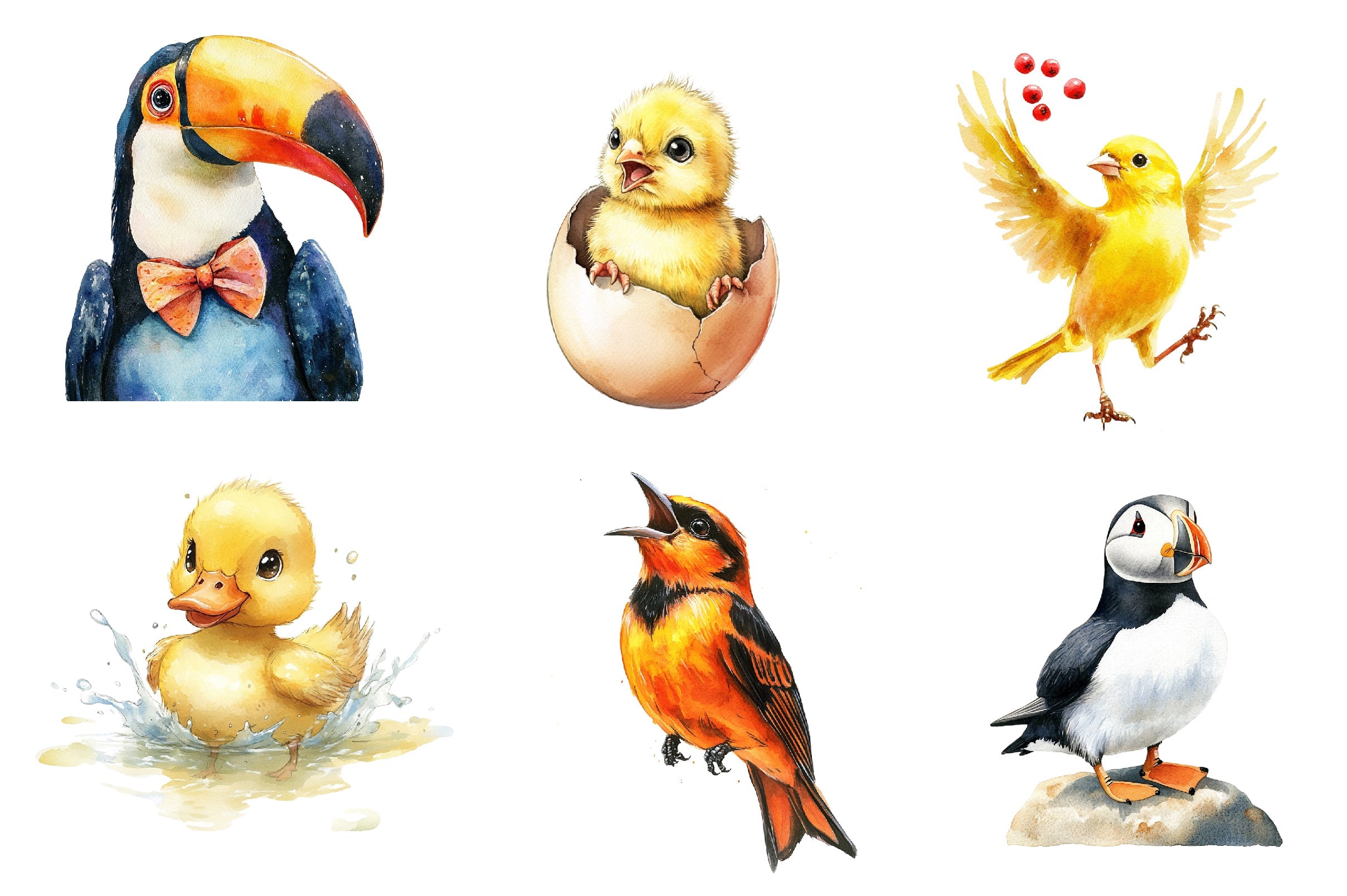 Cute Quirky Funny Birds Clipart Bundle