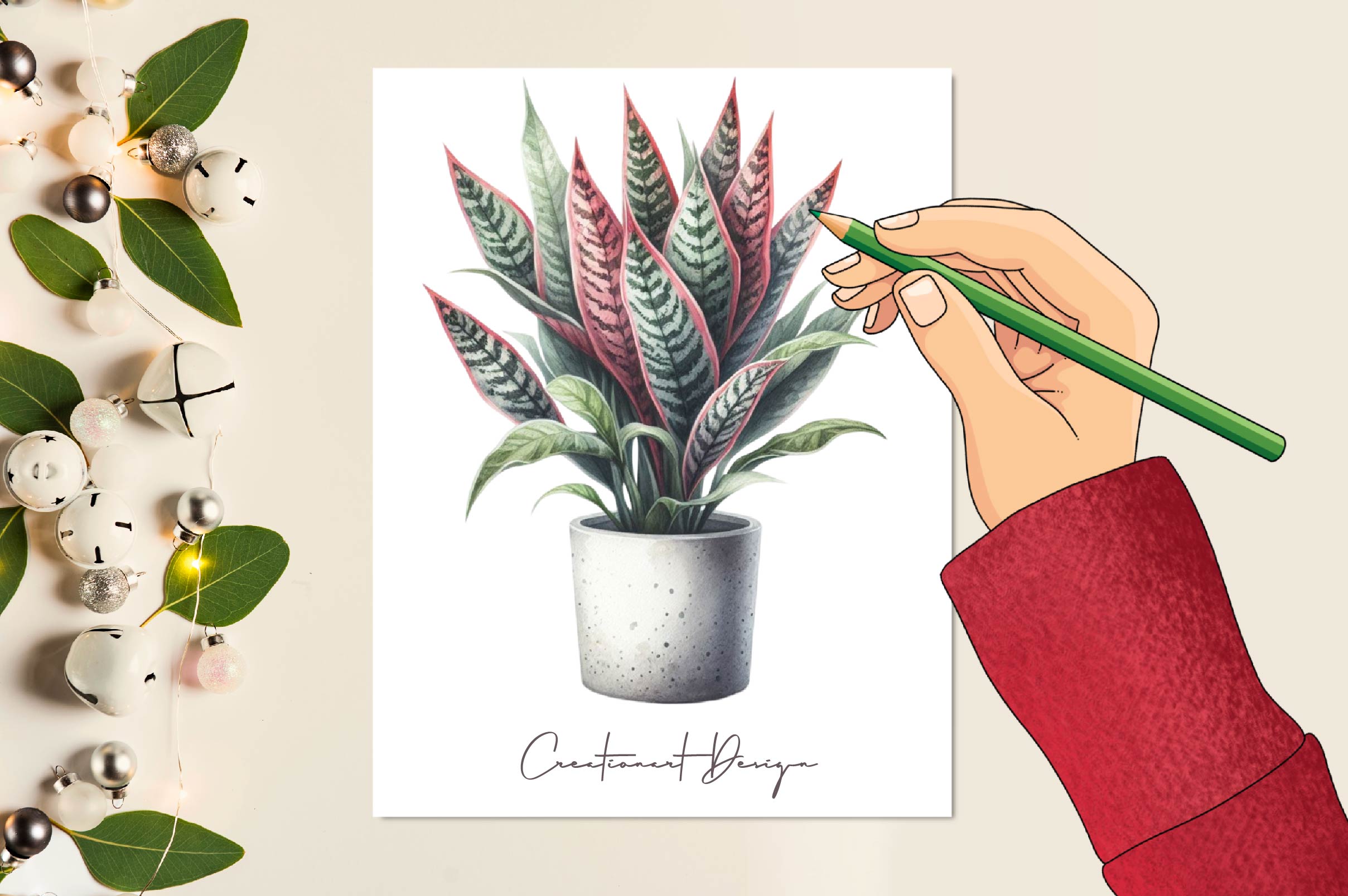 Potted Plants Clipart Bundle 1