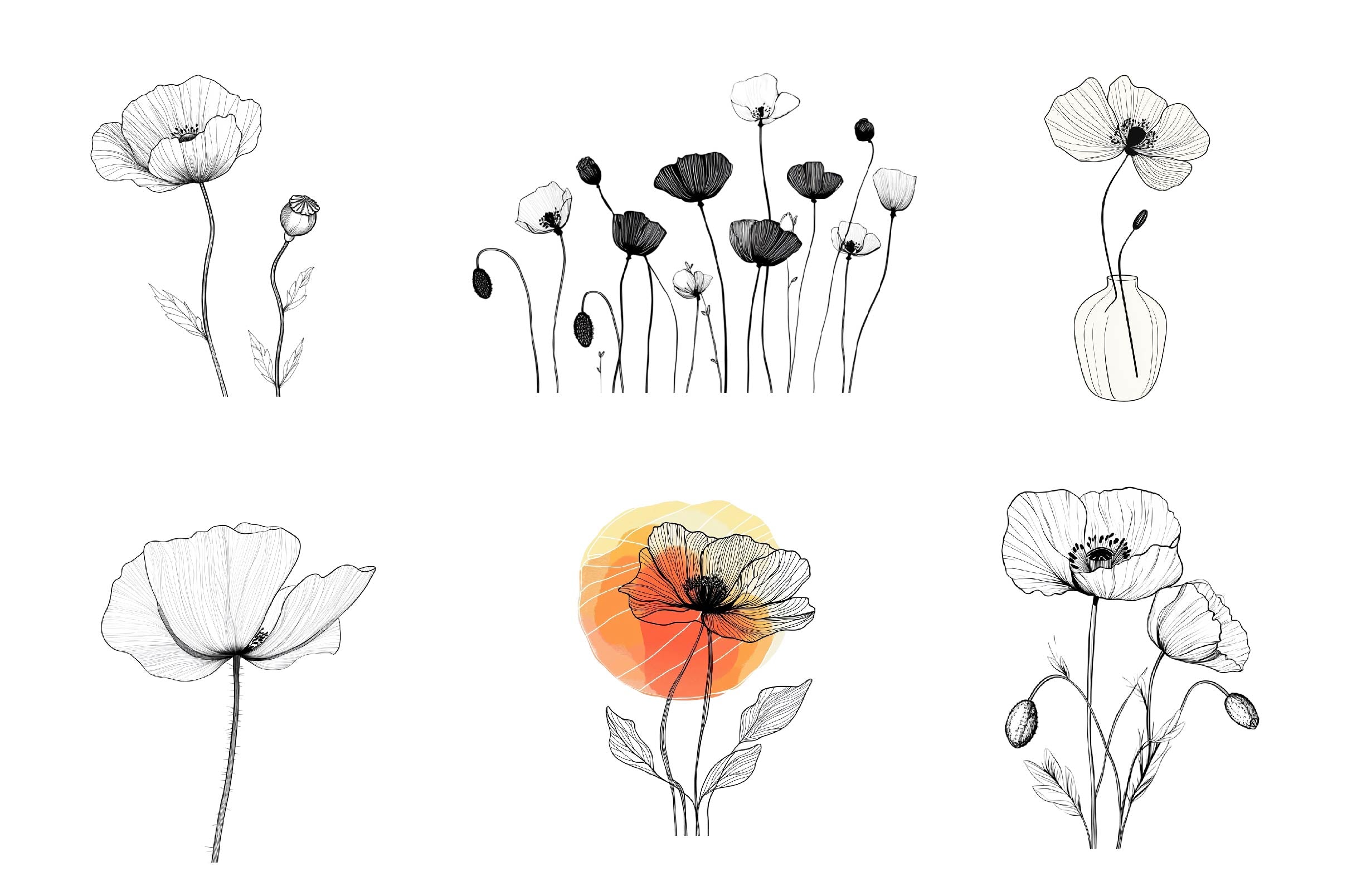 Poppy Flower Clipart Bundle