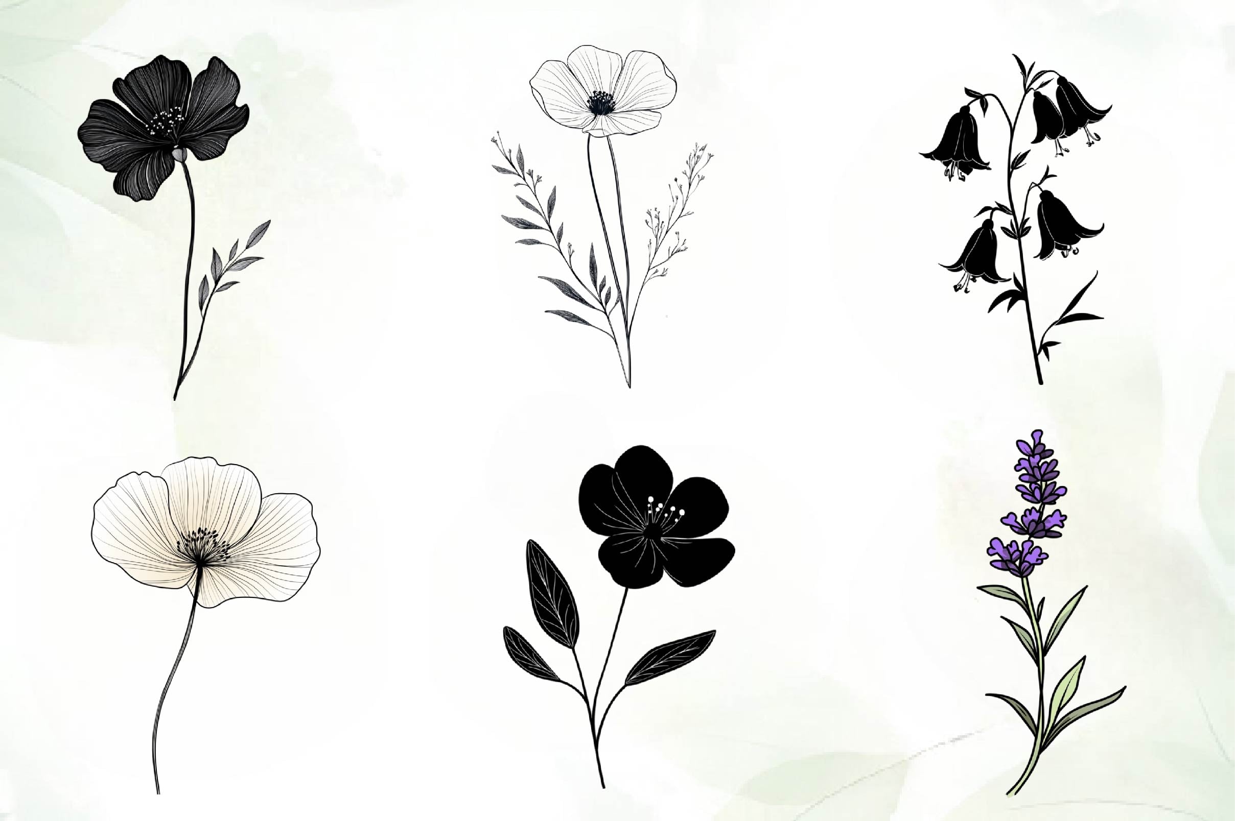Black Wildflower Clipart Bundle