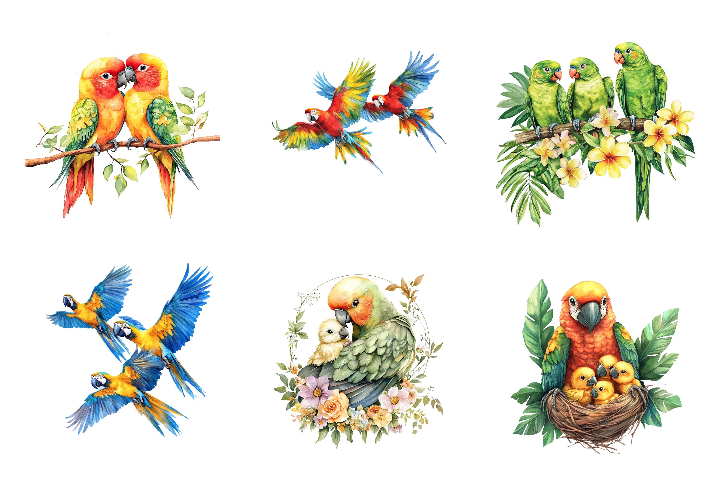 Tropical Parrot Family Clipart Bundle