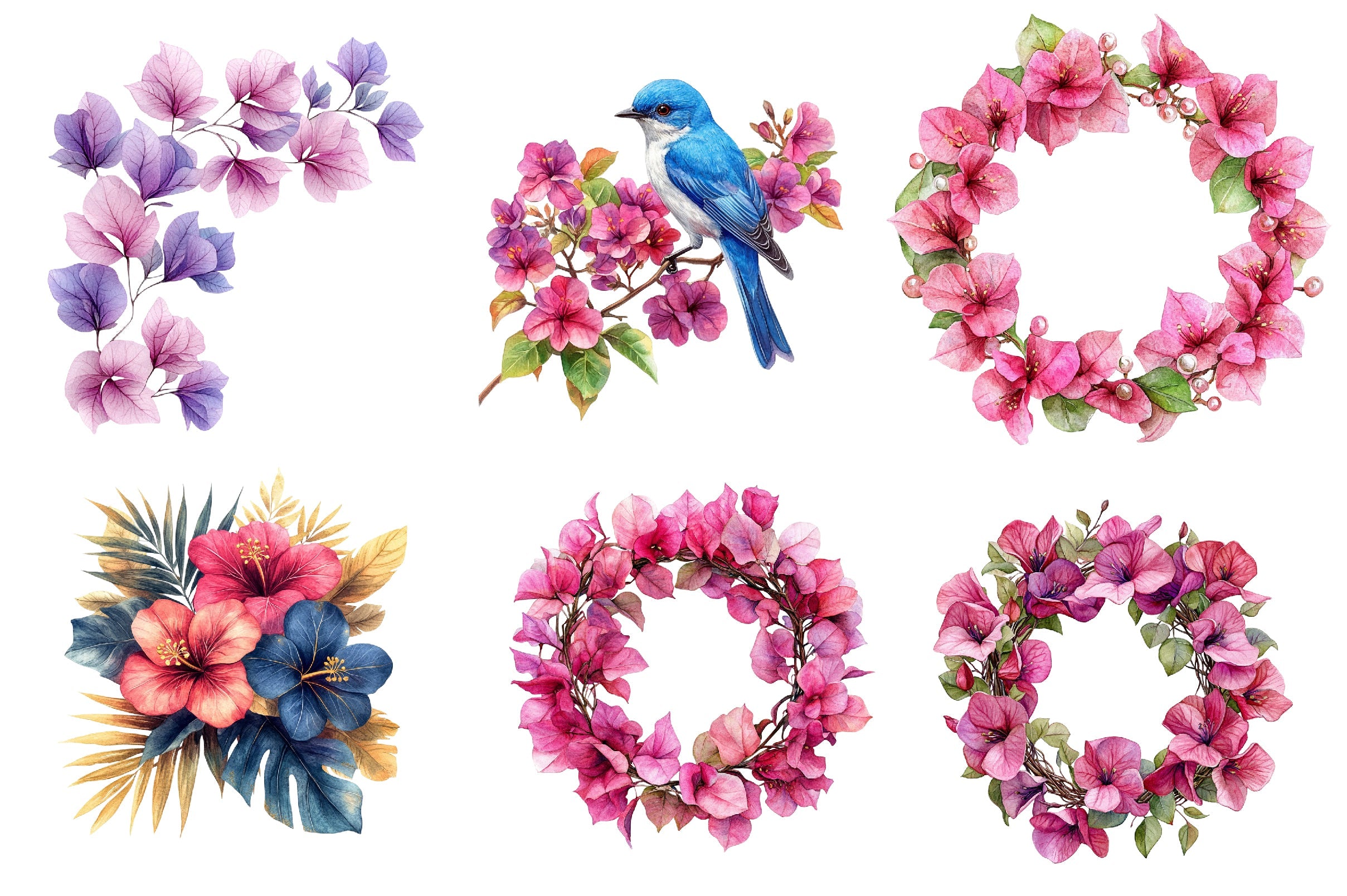 Bougainvillea Flower Clipart Bundle