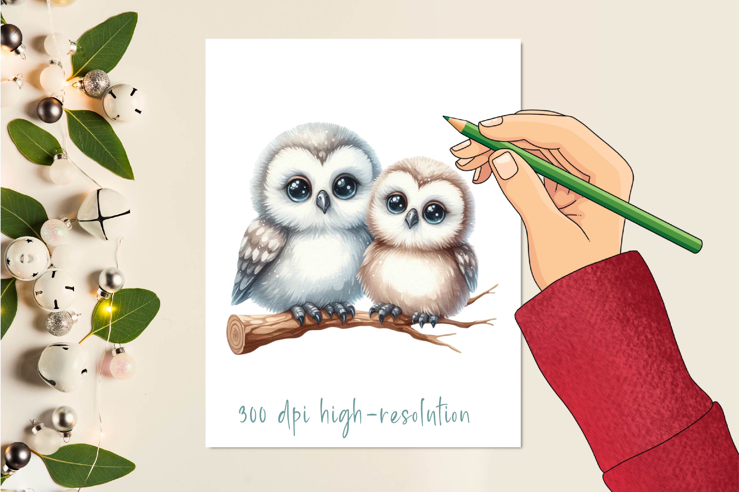 Baby Owl Clipart Bundle