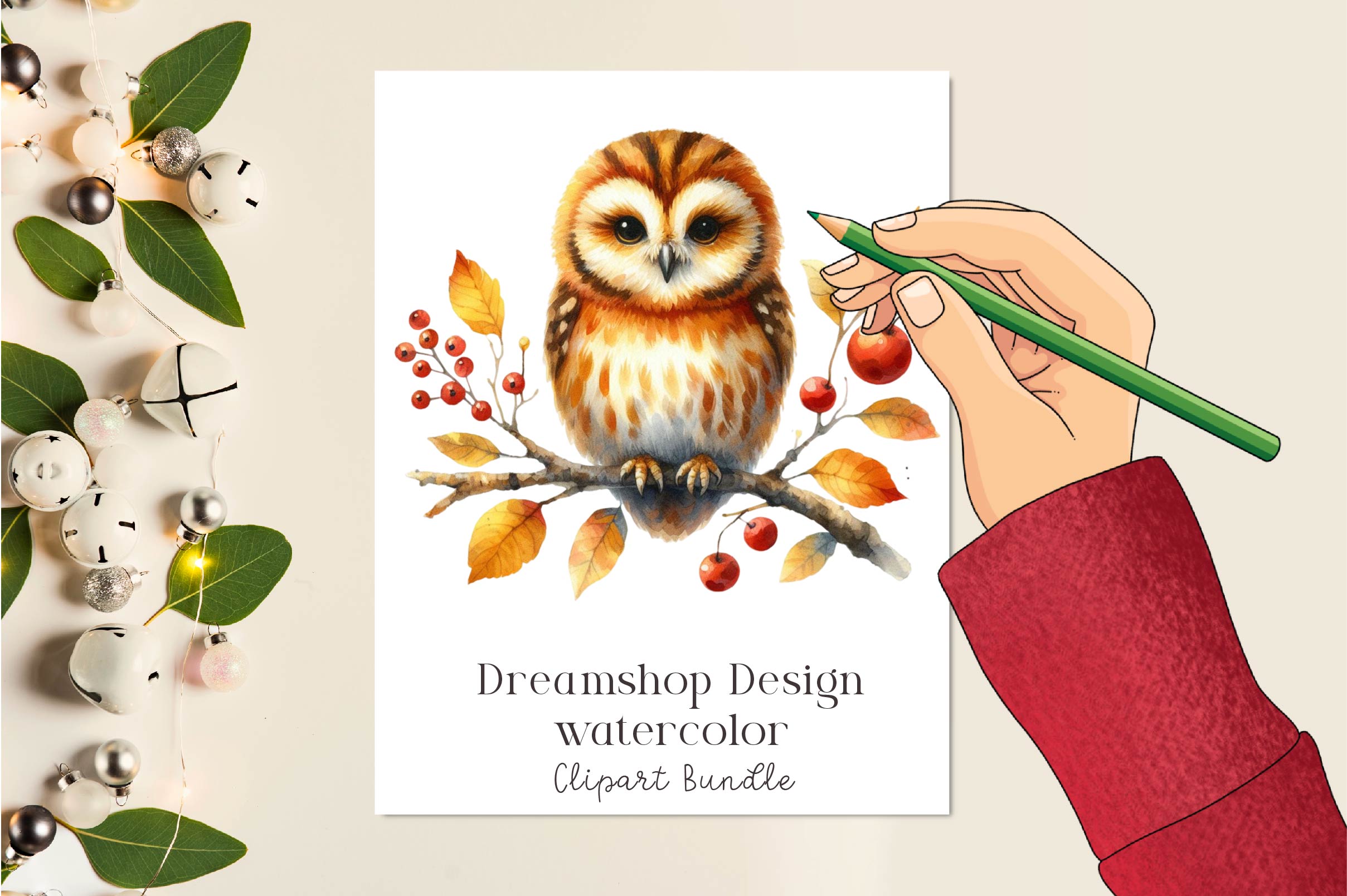 Cute Autumn Owl Clipart Bundle