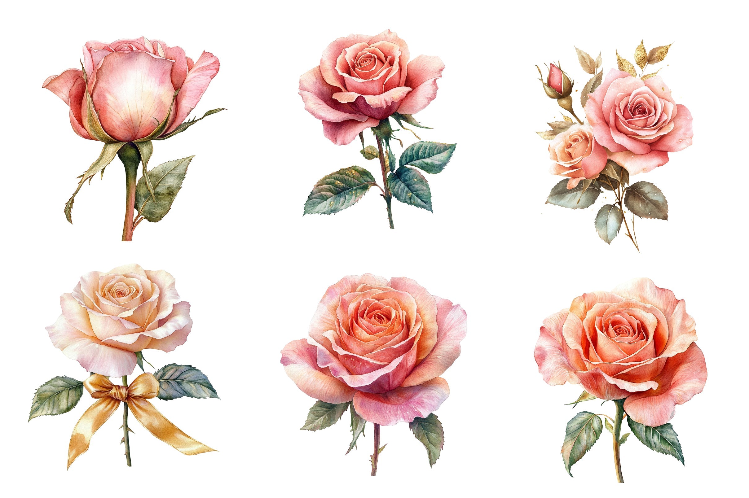 Pink And Gold Rose Clipart Bundle